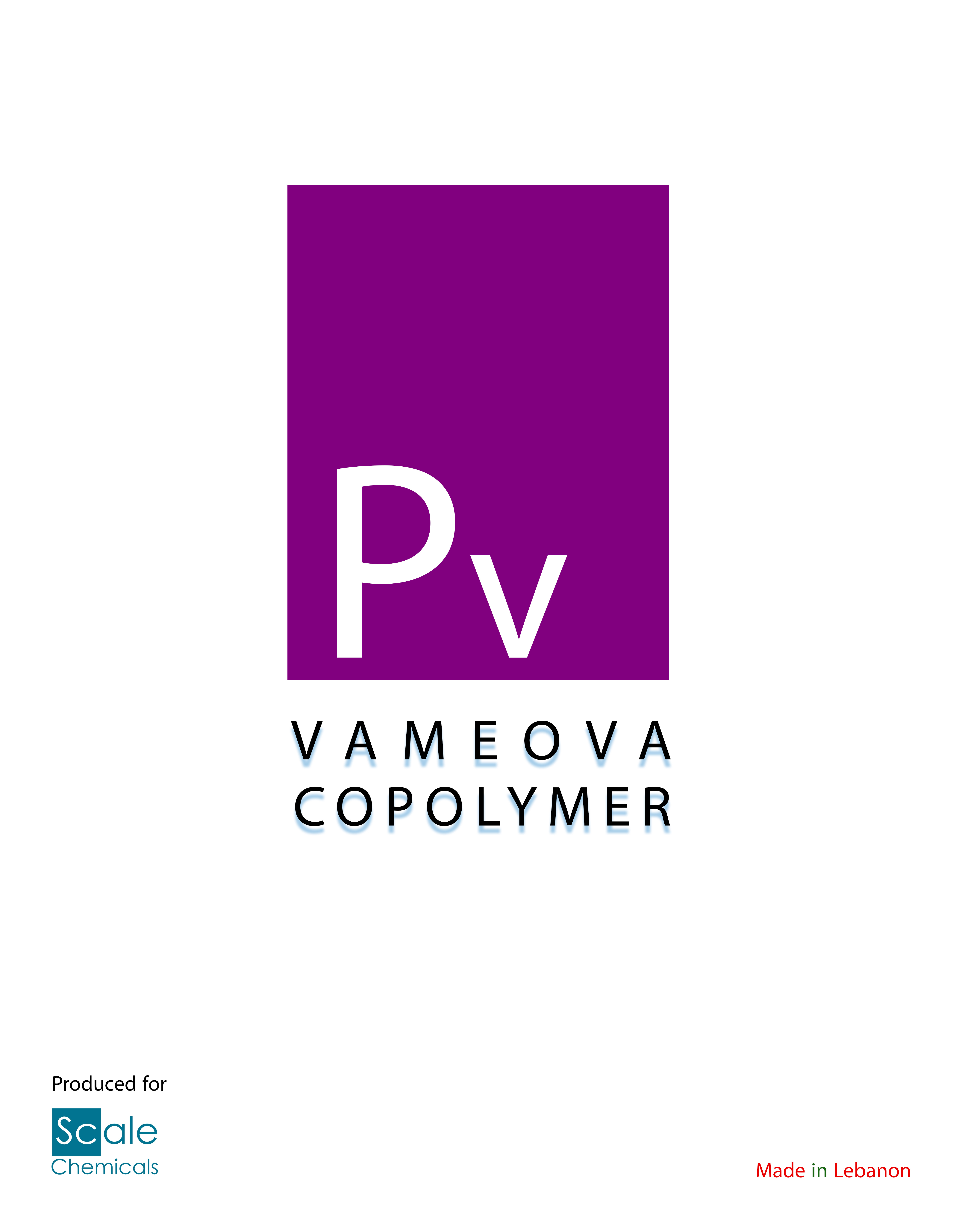 Company Image
